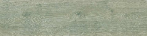 3007--gris