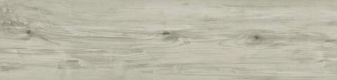 3014-gris1