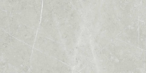 Altamura-Silver-60x1202
