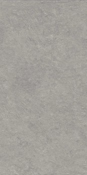 CROMAT-GRIS-60X120-S