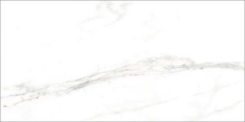 Ibero-selecta-carrara-white-plus-rect-59_2x118_4