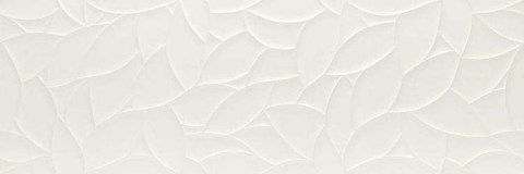 MMFP.jpg.0x250_q75_crop