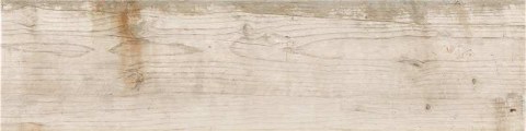 Pamesa-25x100-ATTASMANIA-CALIDO