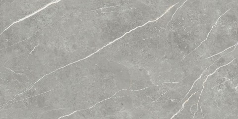 TAU-ELITE-GRAY-60X120