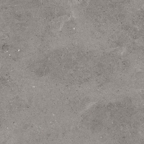 TAU-SERENASTONE-GRAY-60X60F