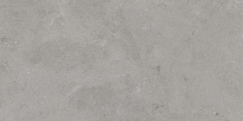 TAU-SERENASTONE-SILVER-60X120F