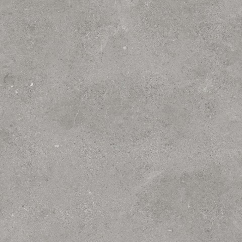 TAU-SERENASTONE-SILVER-60X60F