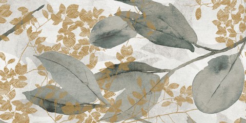 Tau-dc-branche-60x120-rec