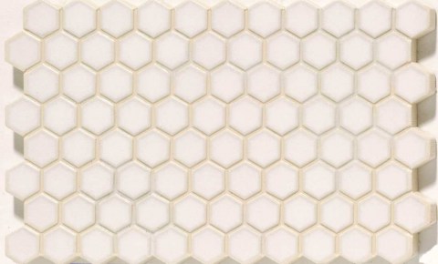 casella-cisne-23,5x-14,5