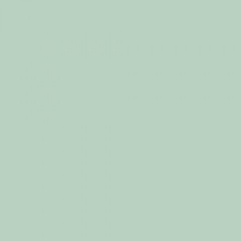 me81.jpg.0x250_q75_crop