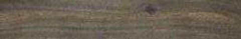 mh8e.jpg.0x250_q75_crop