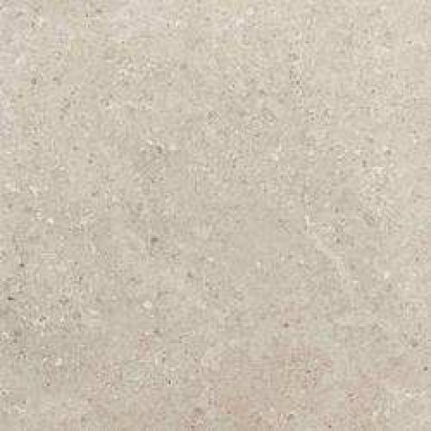 mlk9.jpg.0x250_q75_crop