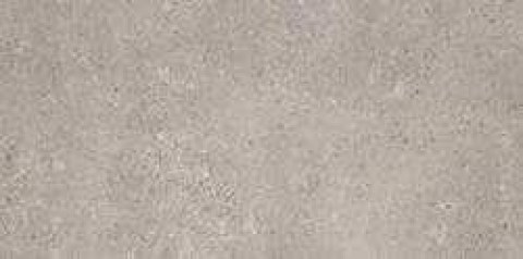 mlnz.jpg.0x250_q75_crop