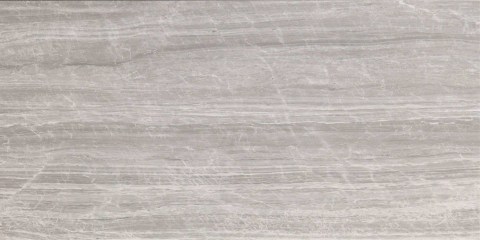 pamesa-badab-ash-60x1203