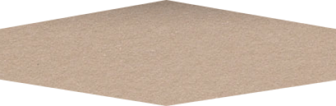 tandem_avanti_bone20