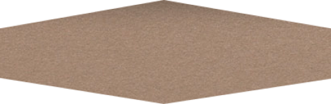 tandem_avanti_bone30